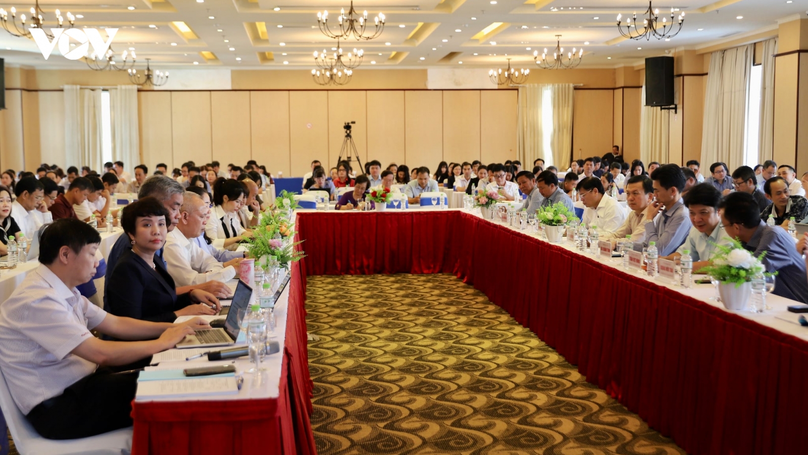 Trong 4 năm, cả nước có 365 người tử vong vì bệnh dại