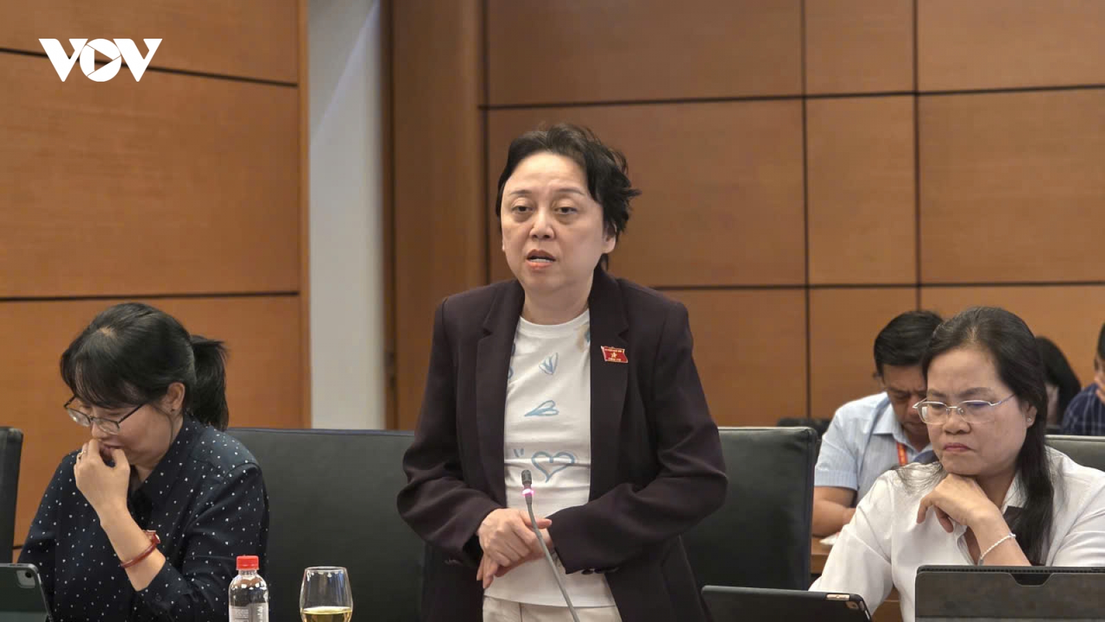 ĐBQH: Mức phạt cần được xem xét trong tương quan với thu nhập của người dân
