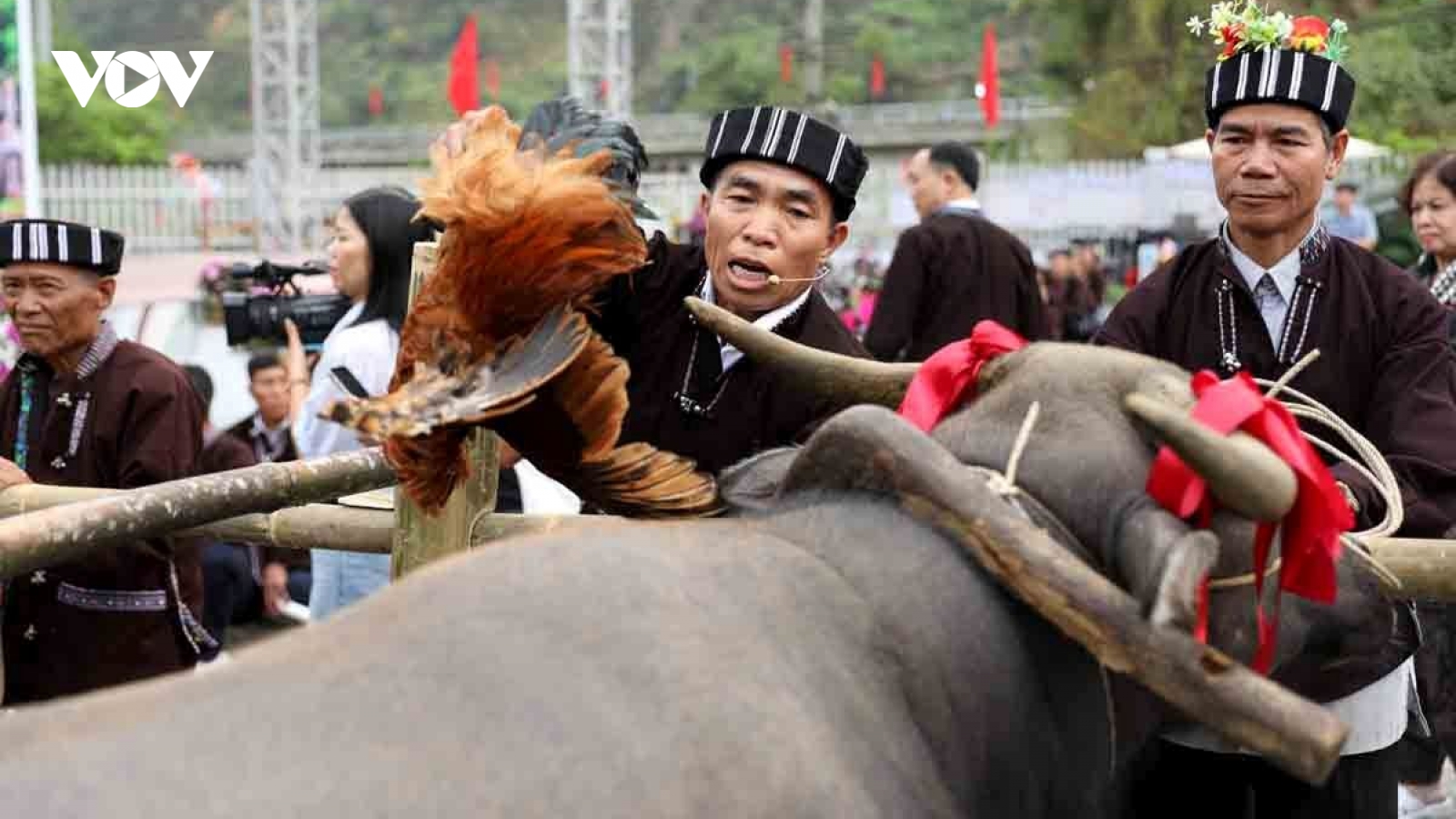 Su Khon Khoai: The Lu people’s ritual to honour the buffalo