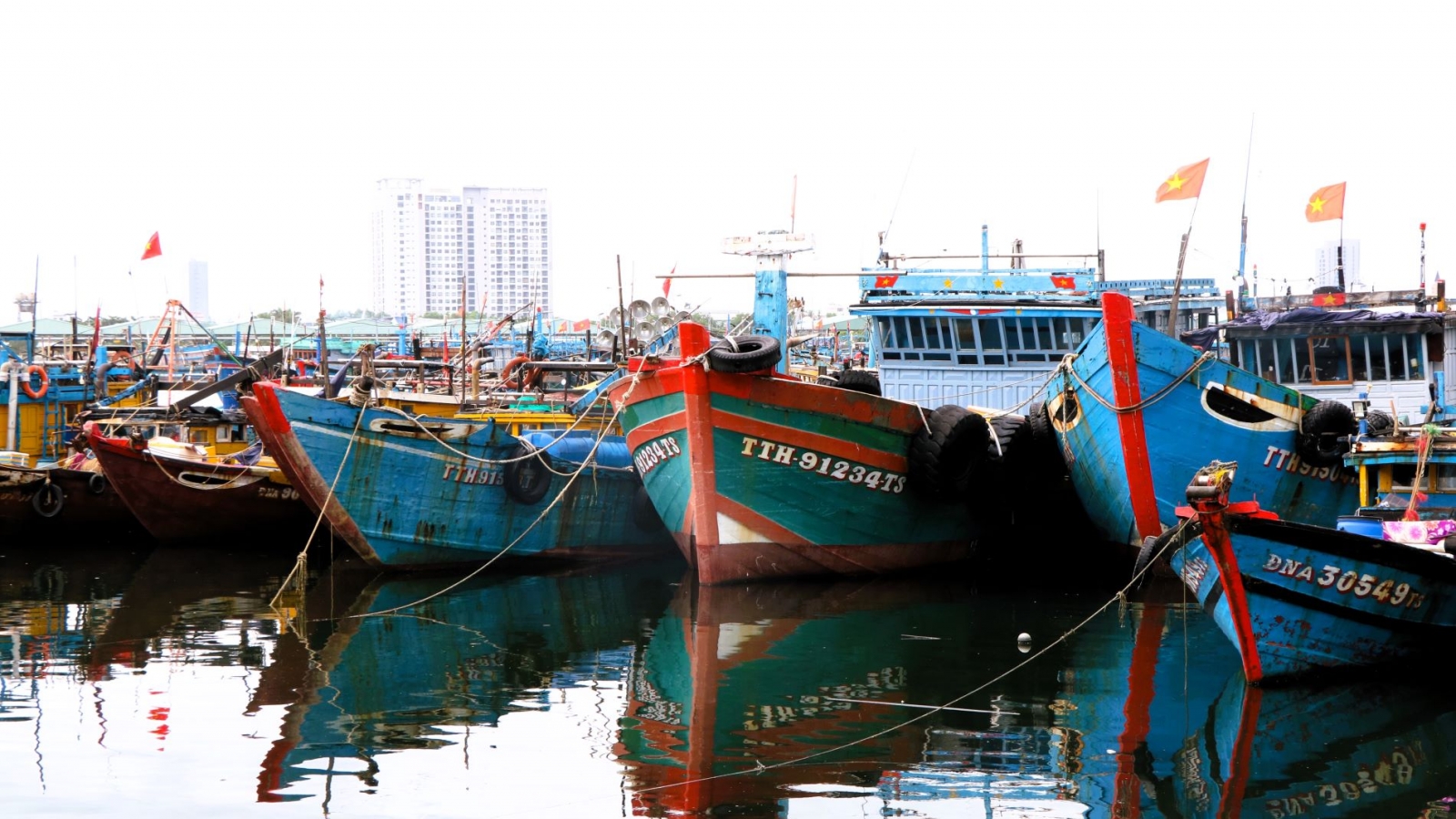 Đà Nẵng khép kín chuỗi giám sát IUU