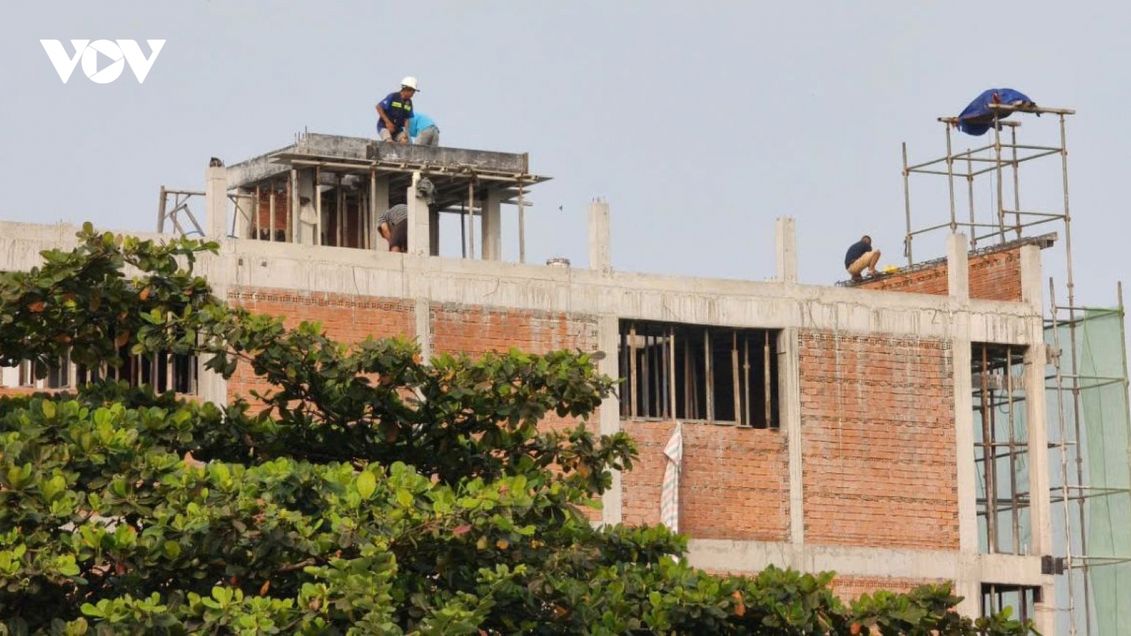 TP.HCM đề xuất dùng cát biển làm vật liệu thay thế trong san lấp mặt bằng