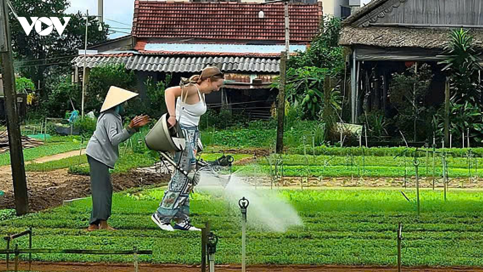 Du lịch sinh thái - hướng phát triển bền vững của đô thị cổ Hội An