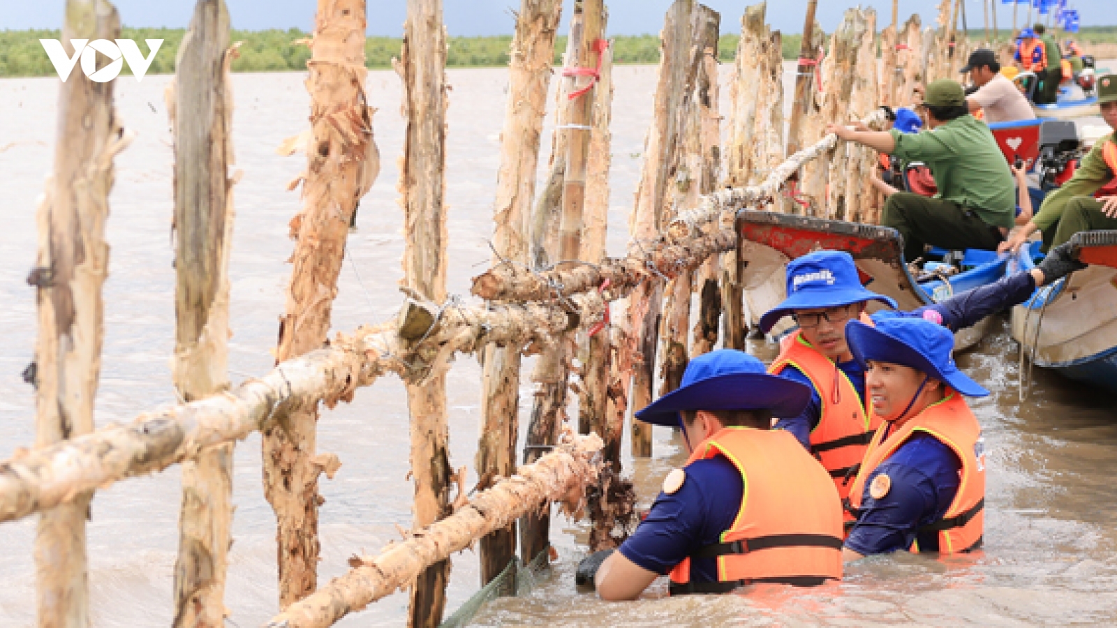 Vì sao Vinamilk liên tục được gọi tên tại nhiều giải thưởng về phát triển bền vững?