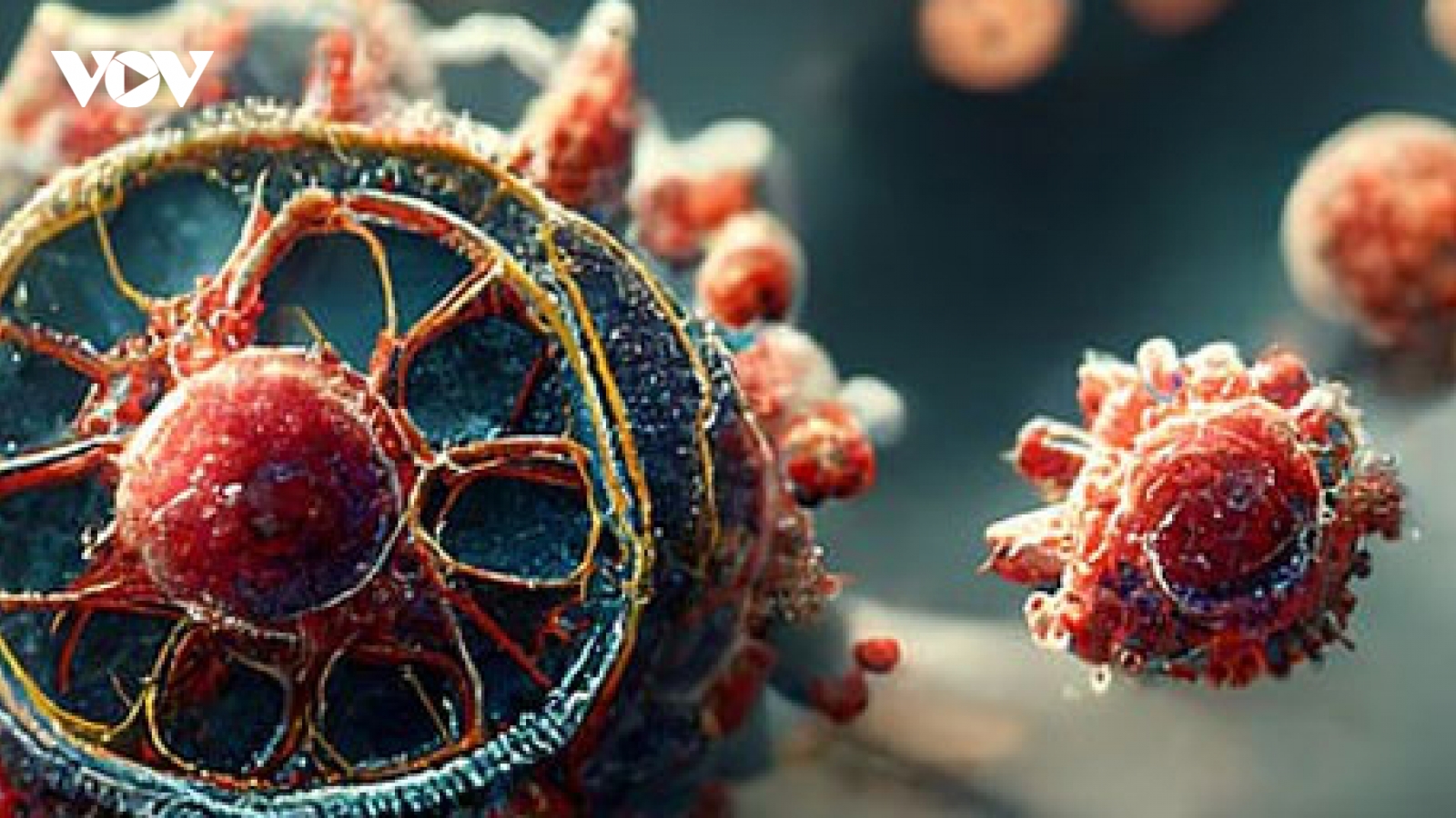 Virus nguy hiểm xuất hiện ở Mỹ, dấy lên lo ngại về một đợt dịch trong cộng đồng
