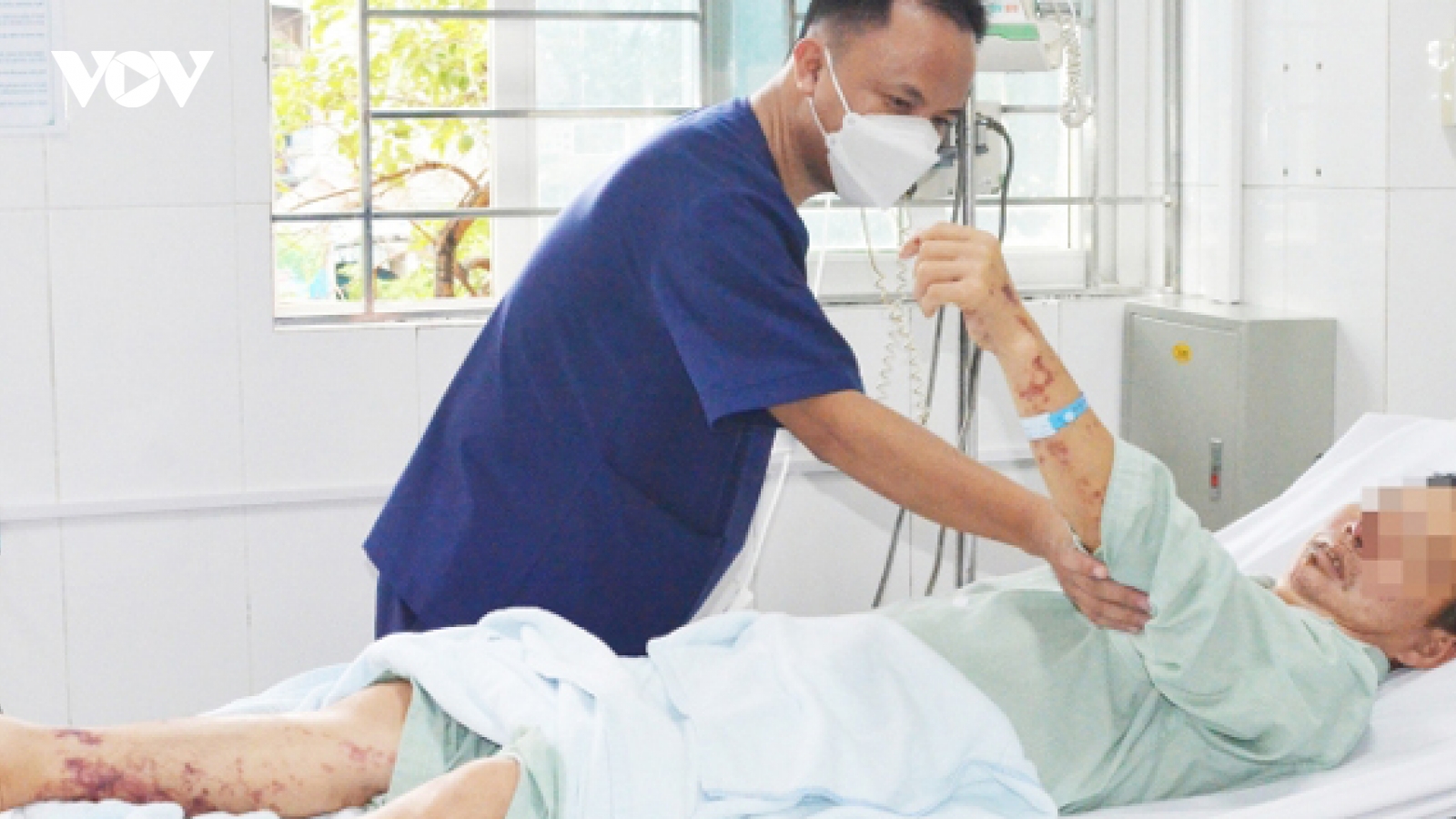 Thoát 'cửa tử'sau khi bị nhiễm liên cầu khuẩn lợn