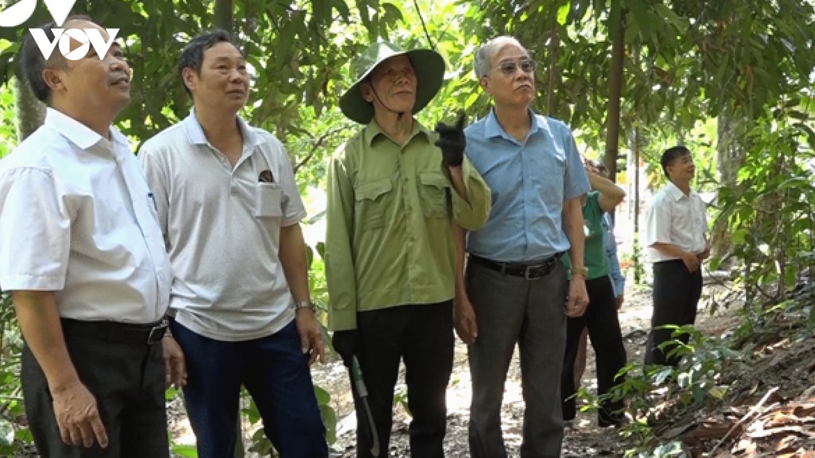 Người cao tuổi Việt Nam - tuổi cao chí càng cao