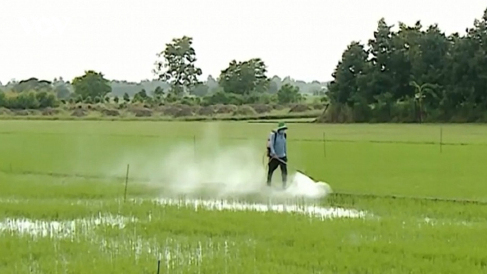 Căn cứ địa Phú Lộc vươn lên từ những hố bom sau giải phóng