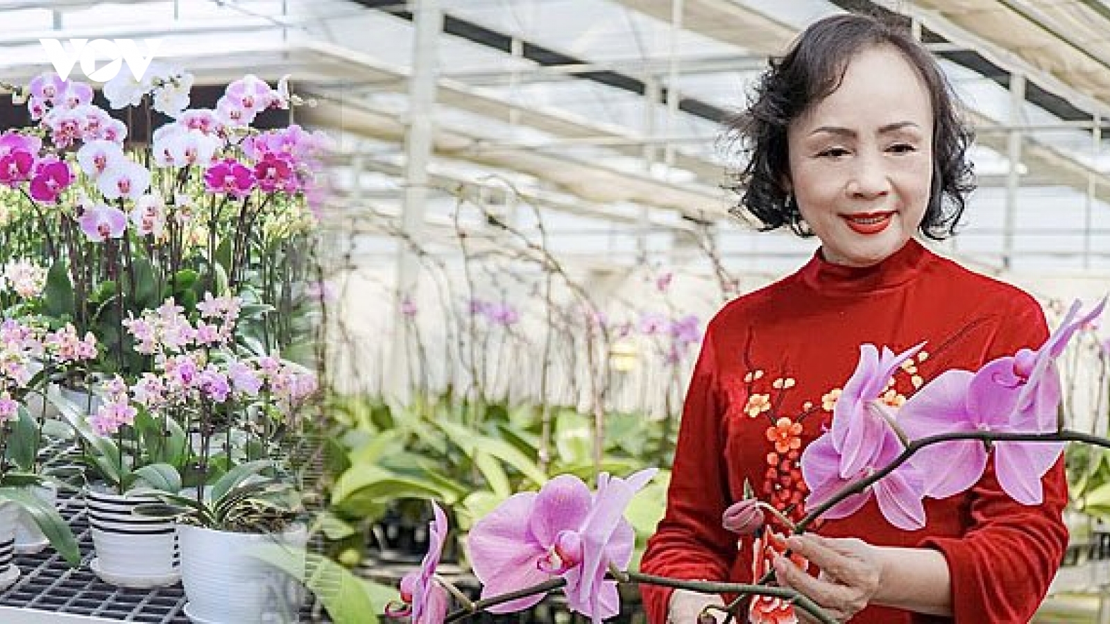 Người dệt ước mơ từ lúa và hoa lan