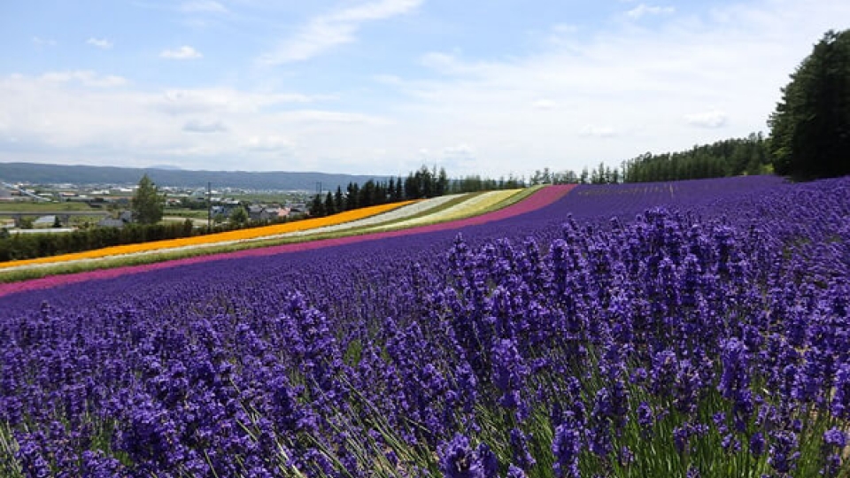 10-diem-dung-chan-ly-tuong-khi-den-hokkaido-nhat-ban1.jpg
