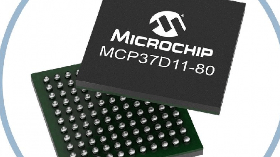 chip.gif