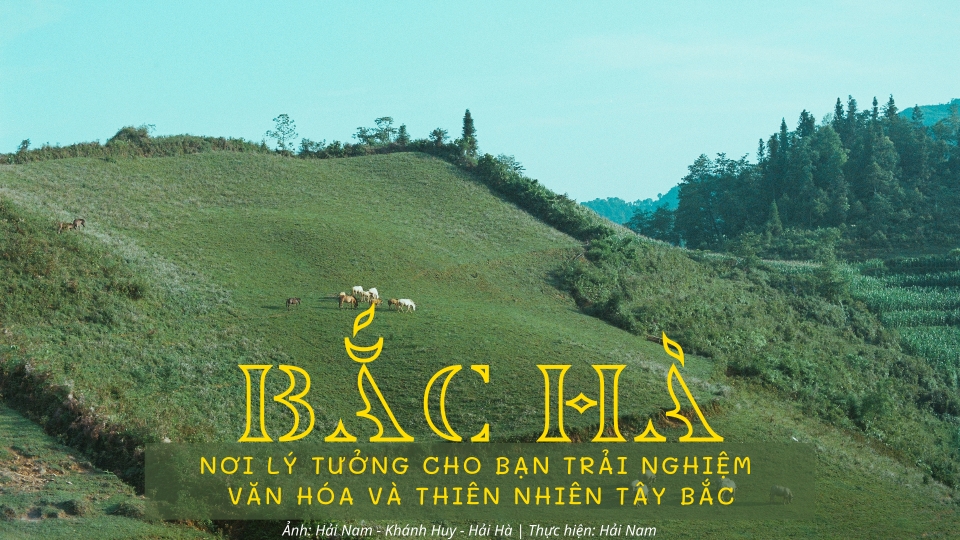 cover-bacha-final.png