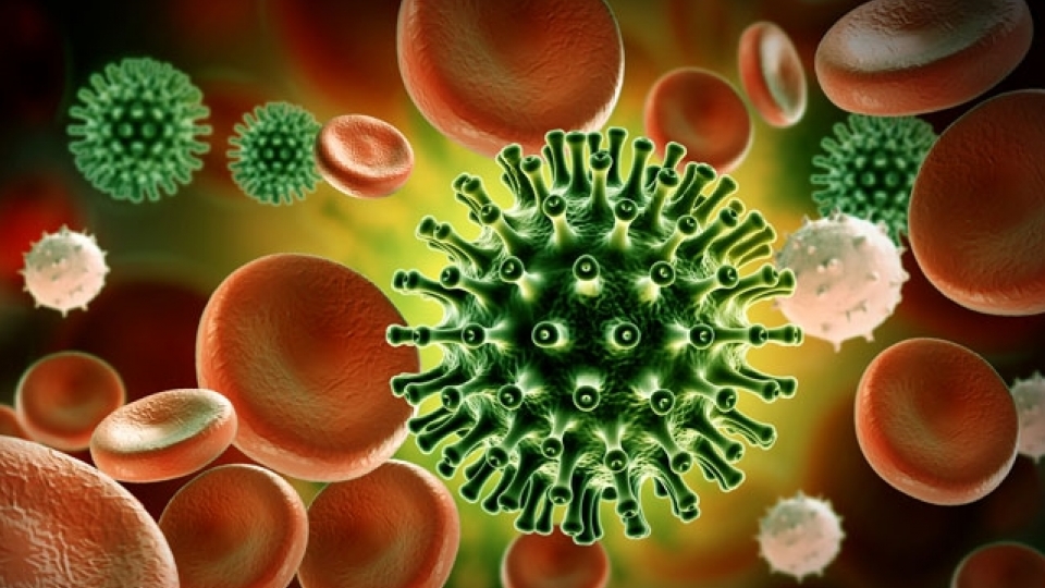 virus corona -thailandmedical.jpg