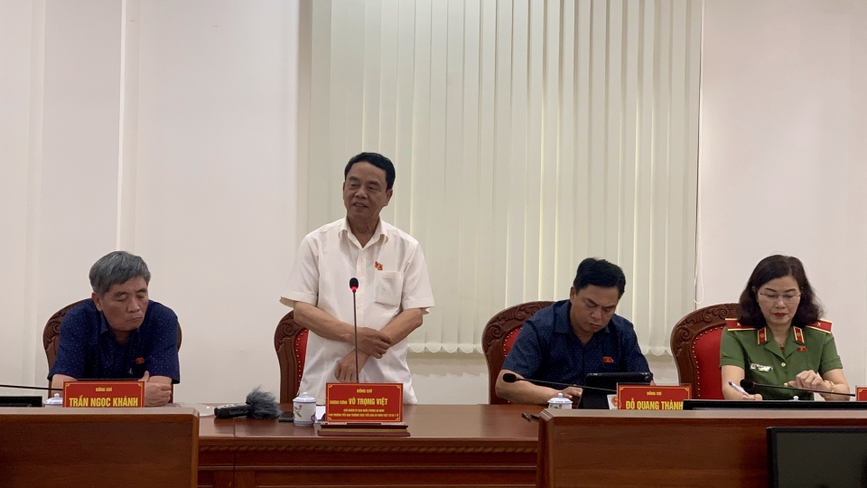 vo trong viet.jpg