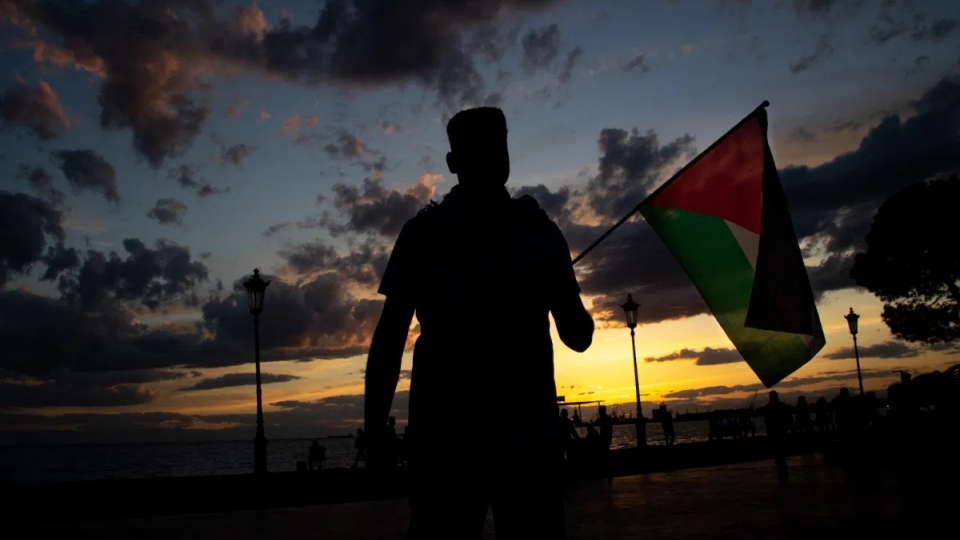 Palestine, nam gioi cam co trong bieu tinh than Palestine, -NurPhoto.jpg