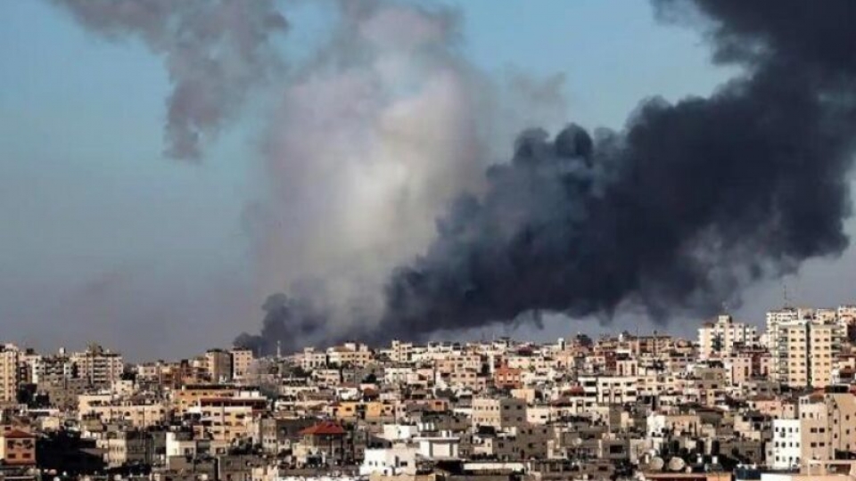 chien su o Gaza -sawt beirut.jpg