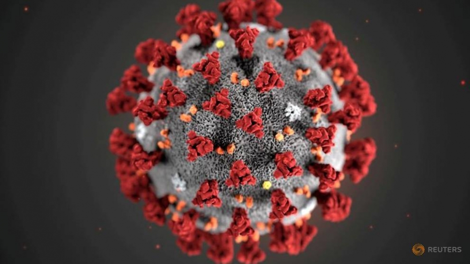 file-photo-an-illustration-created-at-the-centers-for-disease-control-and-prevention-cdc-depicts-the-2019-novel-coronavirus-1.jpg