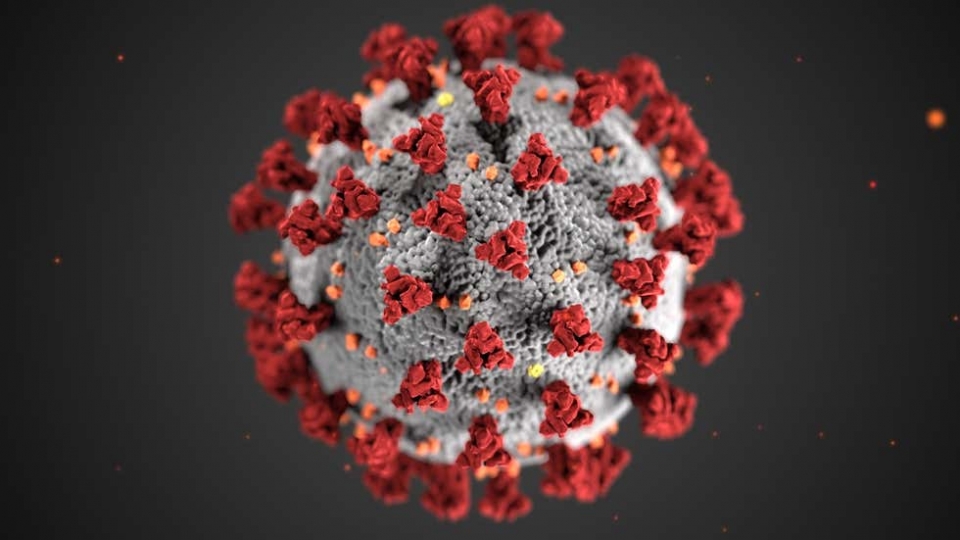 in-coronavirus_40.jpg