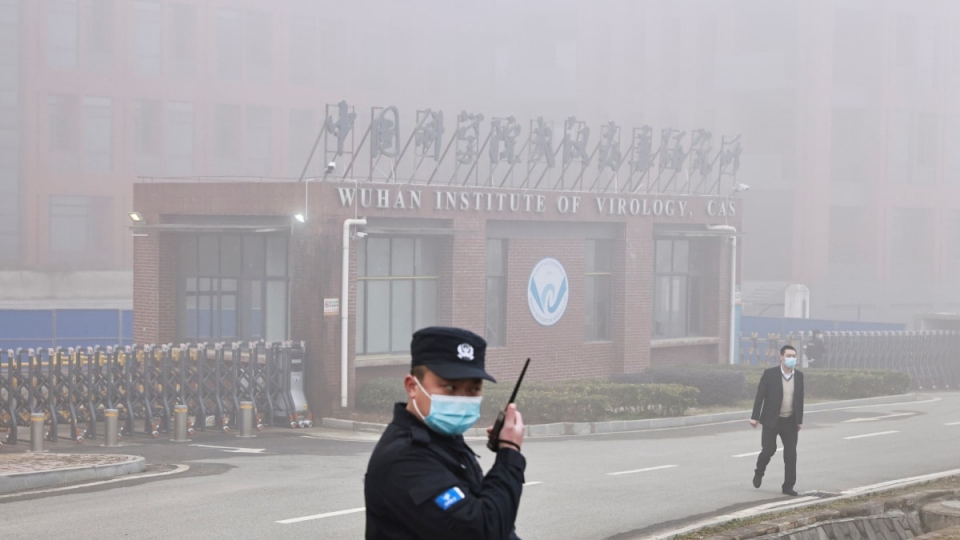 wuhanlab_eofd.jpg