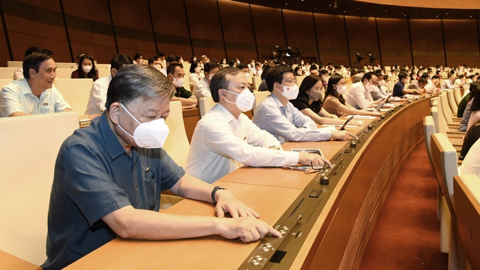 bieu quyet_0.jpg