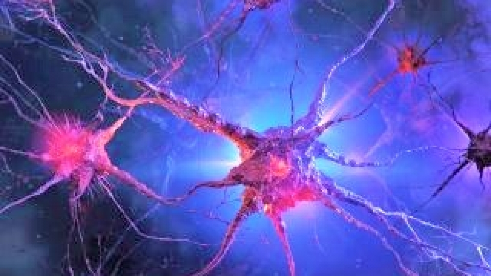 livescience.com_.jpg