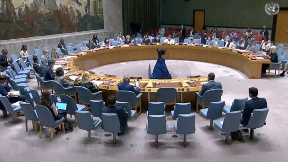 vietnam_calls_for_un_international_communitys_support_for_ethiopia.jpg