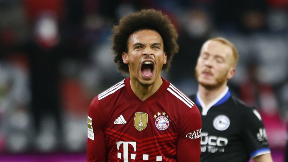 sane.jpg