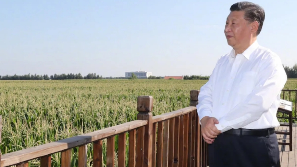 Tap Can Binh va tu tuc luong thuc Trung Quoc -cgtn.jpg