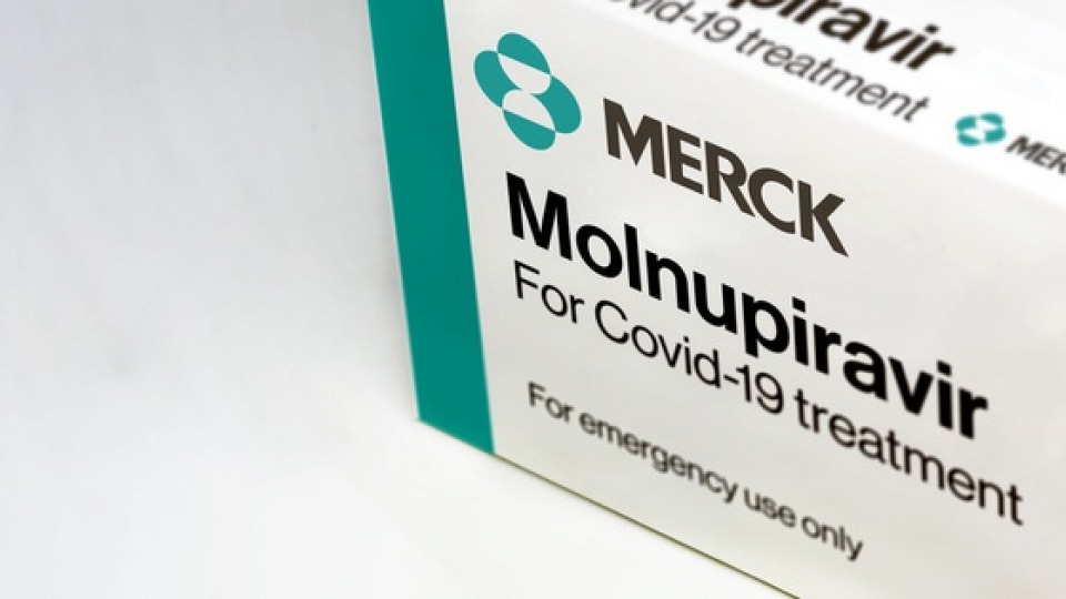molnupiravir.jpg