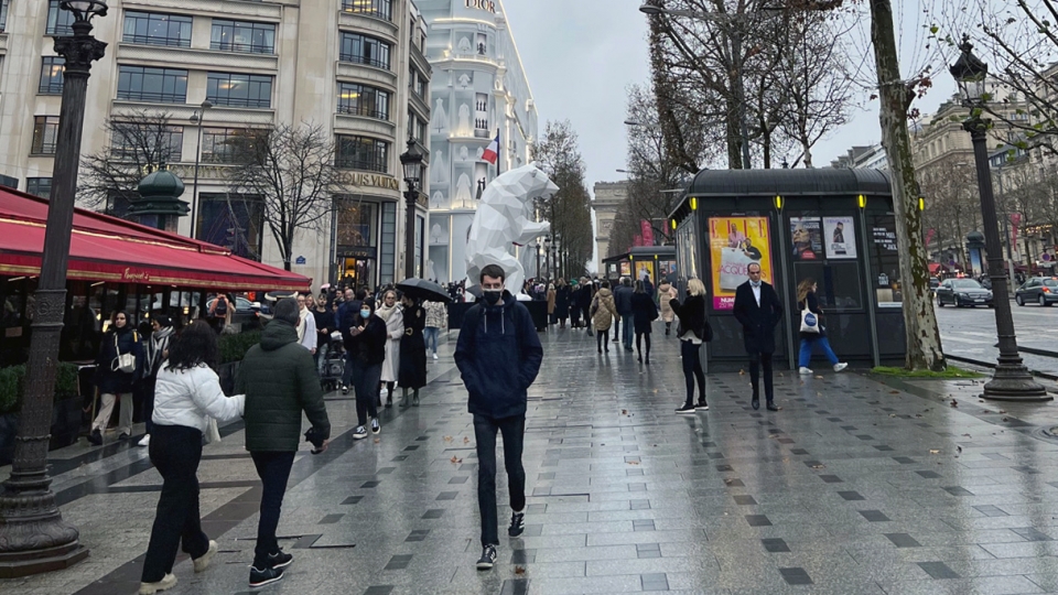 nam-thu-hai-lien-tiep-le-don-giao-thua-tai-dai-lo-champs-elysees-bi-huy-bo.jpg