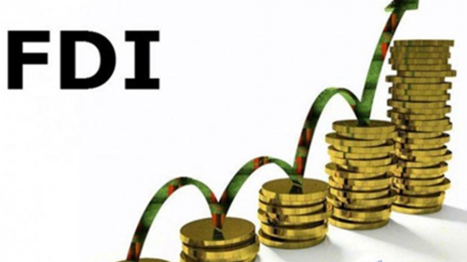 FDI.jpg