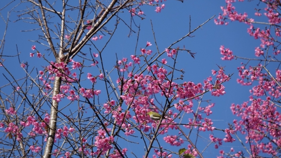 dsc04961.jpg