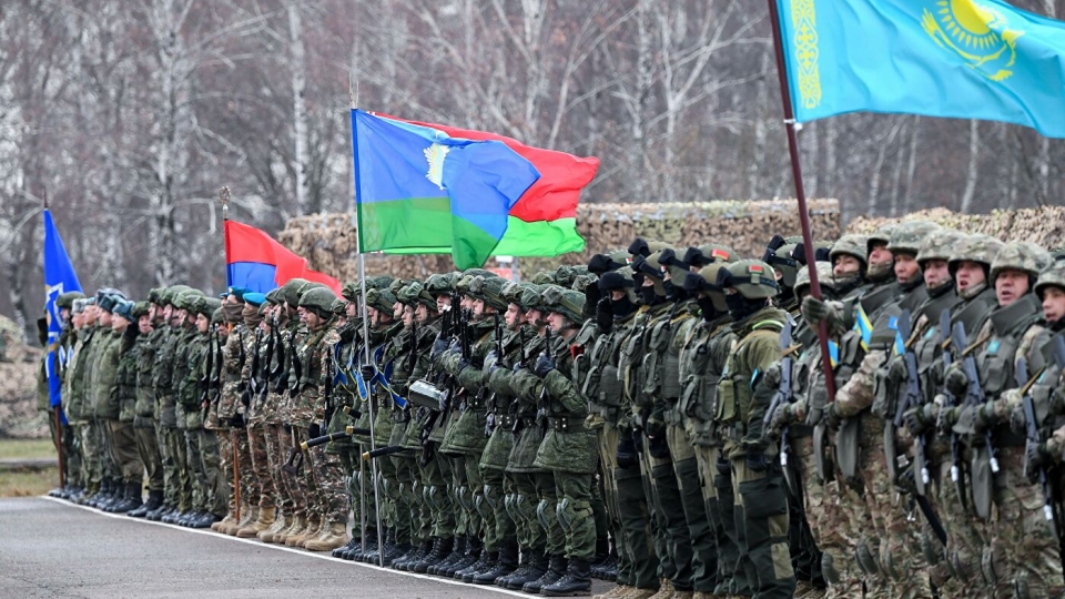 gin_giu_hoa_binh_csto.jpg