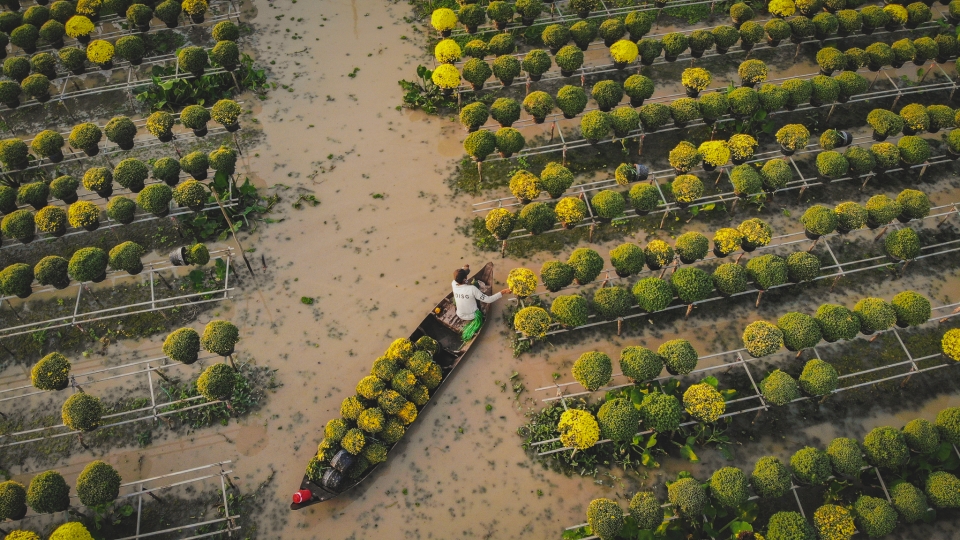 vinh_gau_x_sa_dec_-_19.jpg