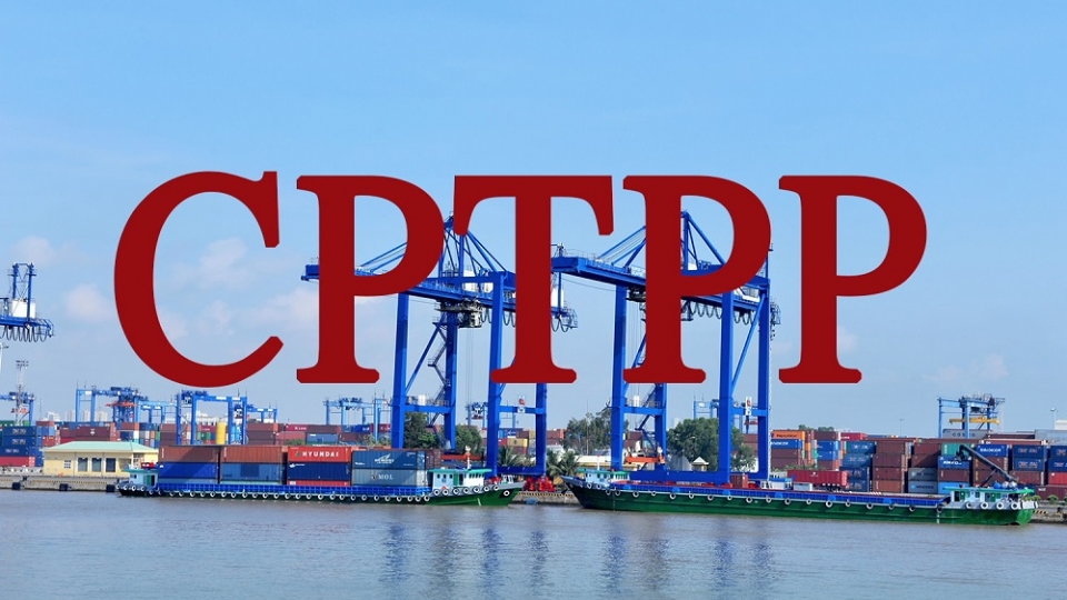 cptpp_anh-19_58_15_224.jpg