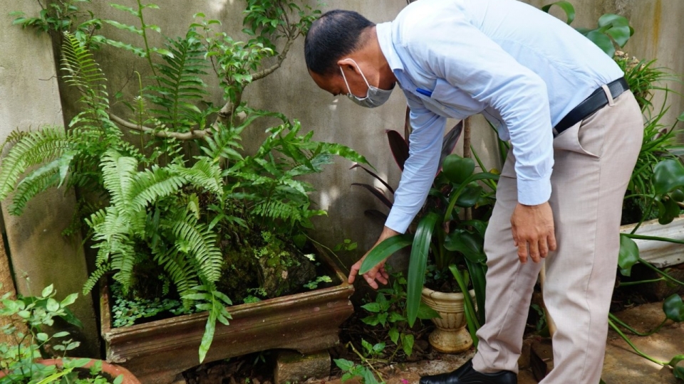 tim_diet_loang_quang_bo_gay_la_giai_phap_hieu_qua_nhat_de_phong_chong_benh_sot_xuat_huyet.jpg