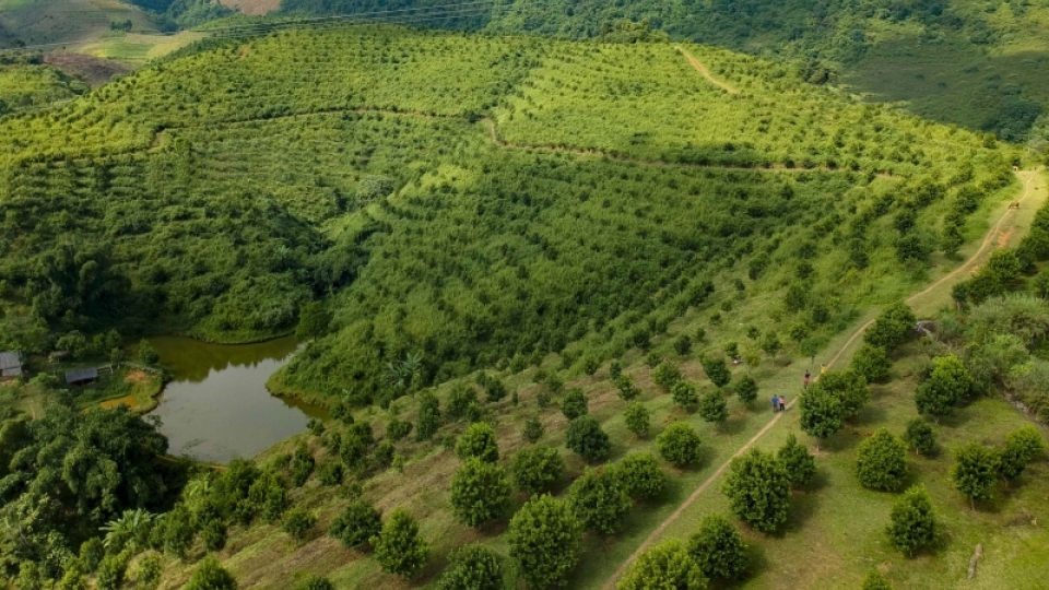 dji_0075_1.jpg
