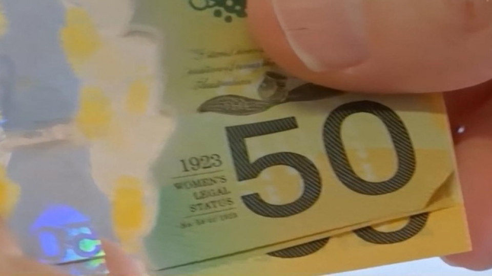 aud-2-1567486571364424332894-crop-15674868116181869348934.jpg