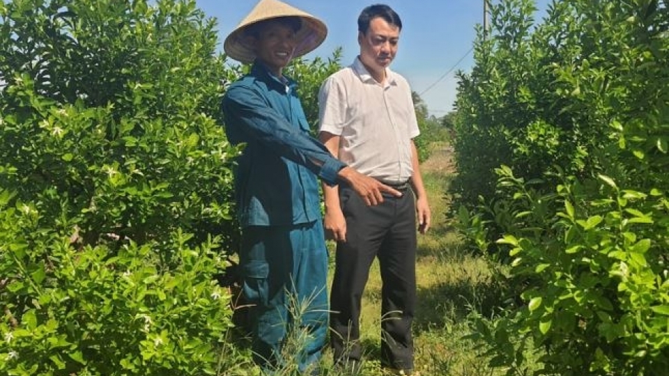 co_von_agribank_tiep_suc_anh_nguyen_hoang_trieu_o_phuong_thanh_ha_tp.hoi_an_tinh_quang_nam_da_xay_dung_duoc_mo_hinh_trong_quat_canh_cho_lai_gan_300_trieu_dong_moi_nam.jpg