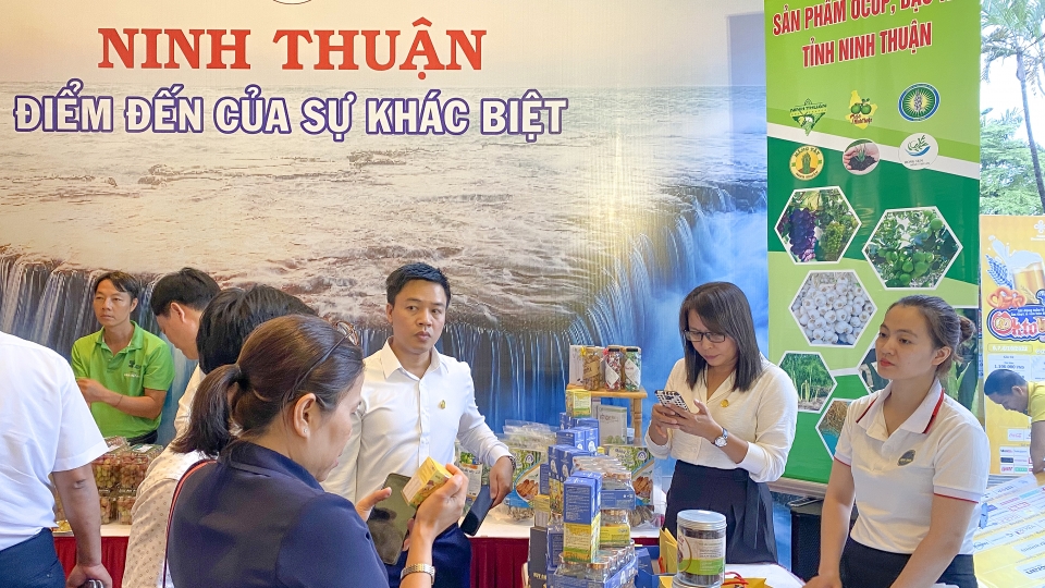 xuc-tien-ninh-thuan-2.jpg