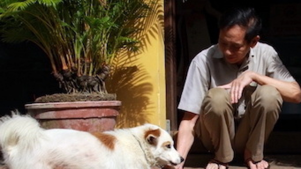 hoi_an_cung_la_thanh_pho_dau_tien_cua_viet_nam_co_thoa_thuan_cham_dut_nan_buon_ban_thit_cho_meo.jpg