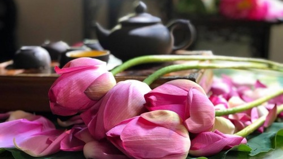 
        Trà sen Tây Hồ: Thức uống thanh tao của người Hà Nội
                  
                              