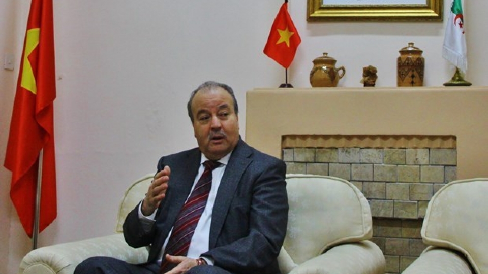 algeria.jpg