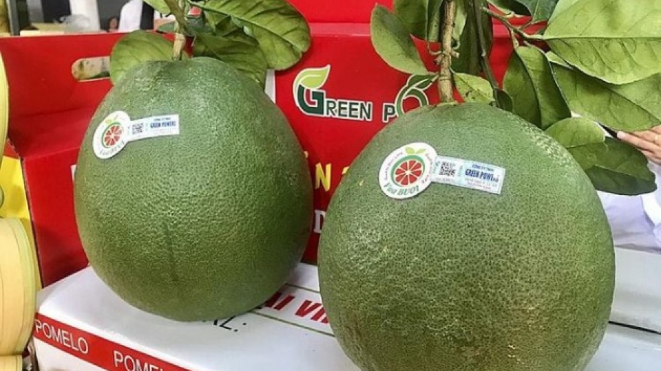 pomelo.jpg