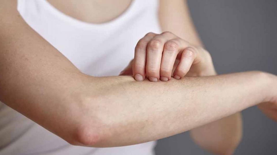 
        Mẹo xua đuổi muỗi trong mùa dịch
                              