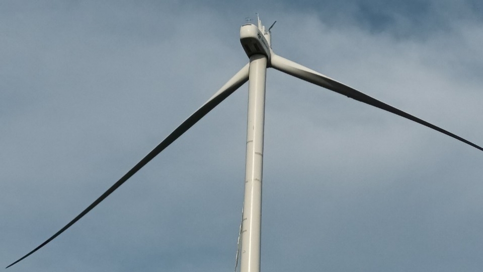 dien gios gay canh.jpg