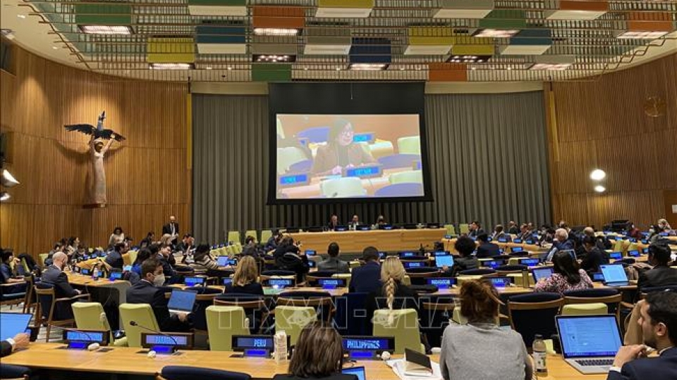 Vietnam supports UNSC expansion.jpg