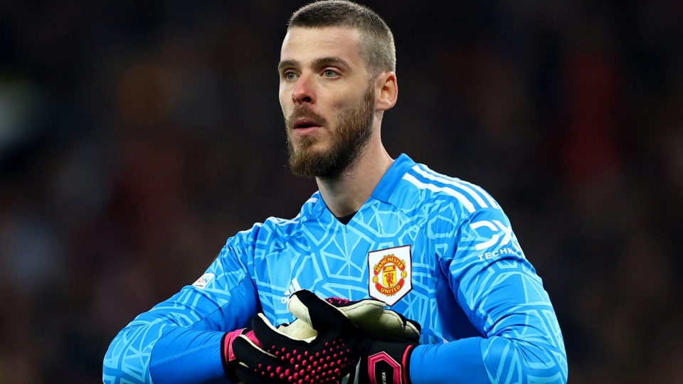 de_gea.jpg