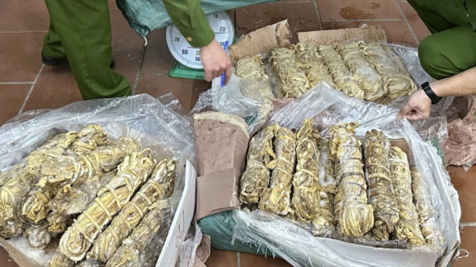 nua_tan_thuc_pham_1.jpg