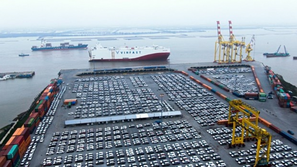 xevf8dimy79890.jpg