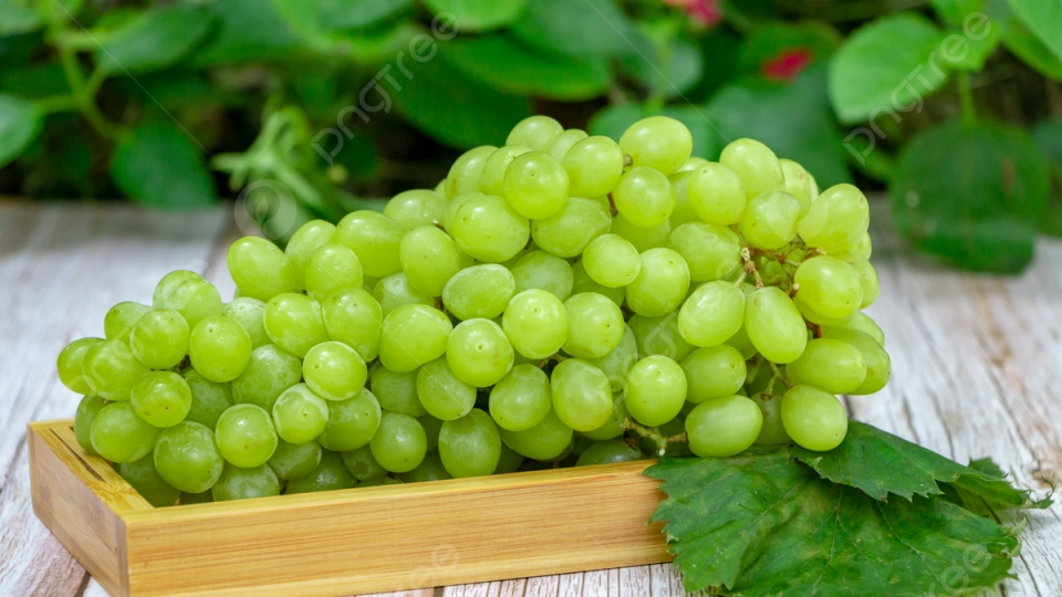 pngtree-grape-green-grape-fruit-compote-background-picture-image_1465905.jpg